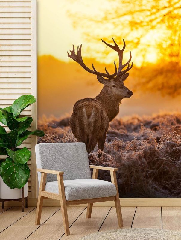 Fototapeta Feeby Jeleń o zachodzie słońca  100x140 1 szt