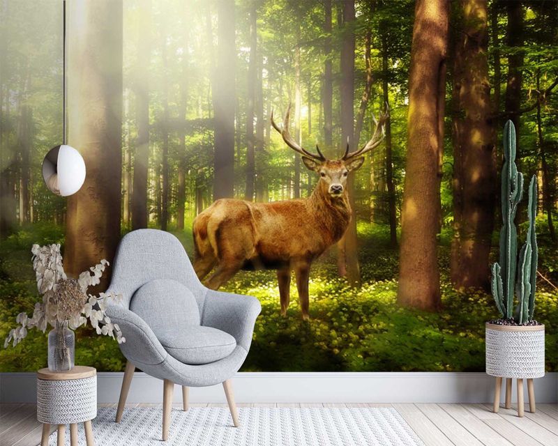 Fototapeta Feeby Jeleń w lesie  150x105 1 szt