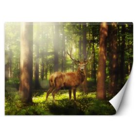 Fototapeta Feeby Jeleń w lesie  400x280 1 szt