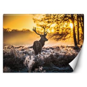 Fototapeta Feeby Jeleń we mgle  350x245 1 szt