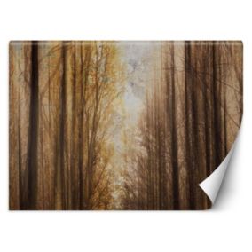 Fototapeta Feeby Jesień Las Drzewa  100x70 1 szt