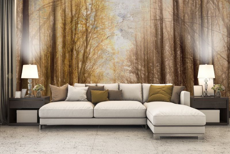 Fototapeta Feeby Jesień Las Drzewa  100x70 1 szt