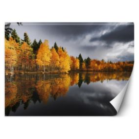Fototapeta Feeby Jesienny Las nad Jeziorem  200x140 1 szt