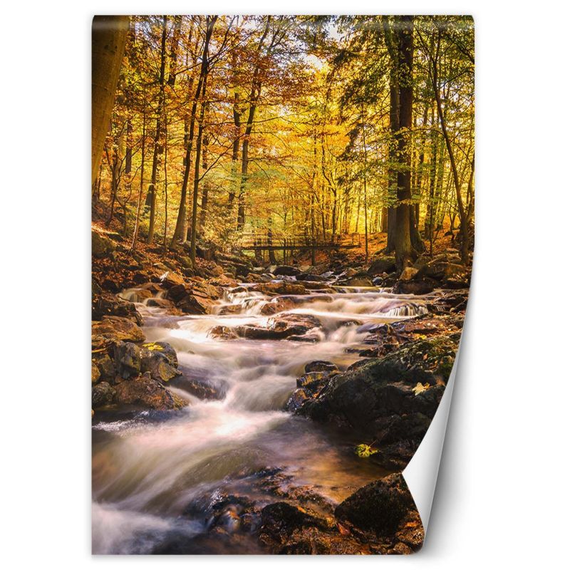 Fototapeta Feeby Jesienny las wodospad  150x210 1 szt