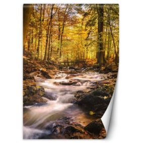 Fototapeta Feeby Jesienny las wodospad  150x210 1 szt