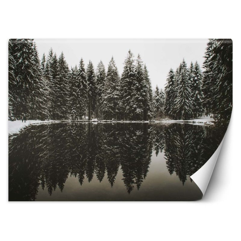 Fototapeta Feeby Jezioro las zima natura  250x175 1 szt