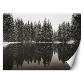 Fototapeta Feeby Jezioro las zima natura  250x175 1 szt