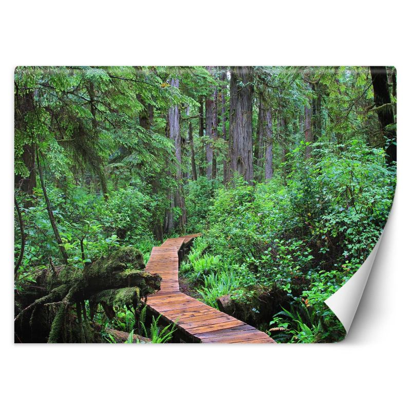 Fototapeta Feeby Kładka w lesie  250x175 1 szt