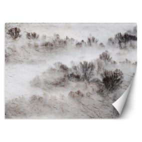 Fototapeta Feeby Łąka mgła drzewa  450x315 1 szt