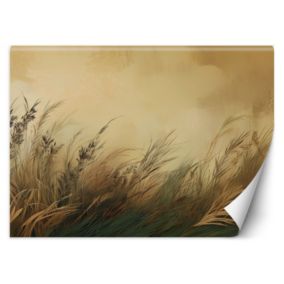 Fototapeta Feeby Łąka Trawa Natura  400x280 1 szt