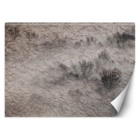 Fototapeta Feeby Łąka we mgle   250x175 1 szt