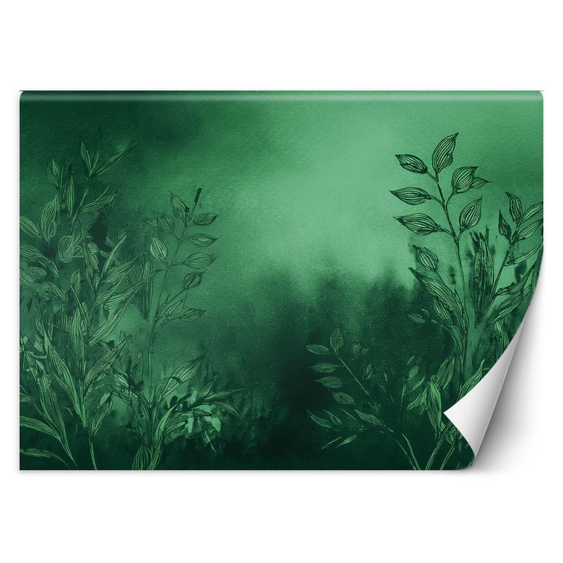 Fototapeta Feeby Łąka Zielony Botanika  100x70 1 szt
