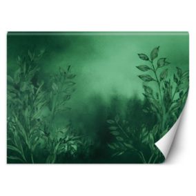 Fototapeta Feeby Łąka Zielony Botanika  300x210 1 szt