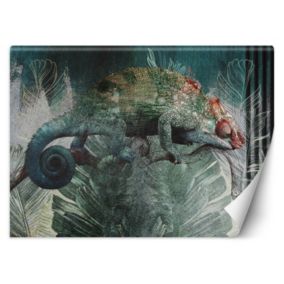 Fototapeta Feeby Kameleon tropikalny las natura  300x210 1 szt