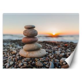 Fototapeta Feeby Kamienie na plaży  450x315 1 szt