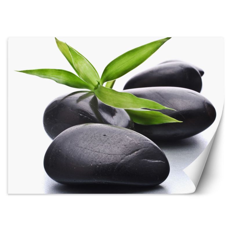 Fototapeta Feeby Kamienie zen liść  200x140 1 szt
