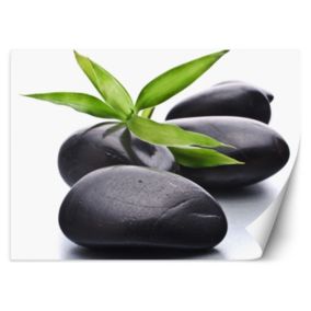 Fototapeta Feeby Kamienie zen liść  200x140 1 szt