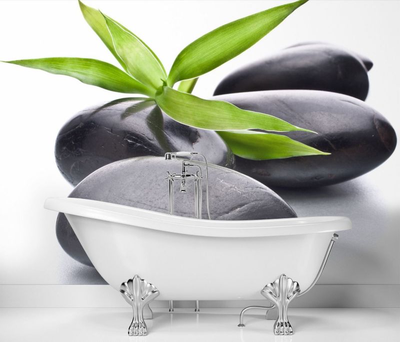 Fototapeta Feeby Kamienie zen liść  350x245 1 szt