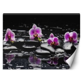 Fototapeta Feeby Kamienie zen orchidea  350x245 1 szt