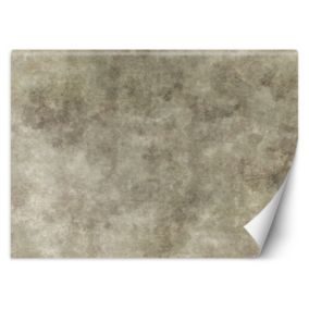 Fototapeta Feeby Kamienna ściana  350x245 1 szt