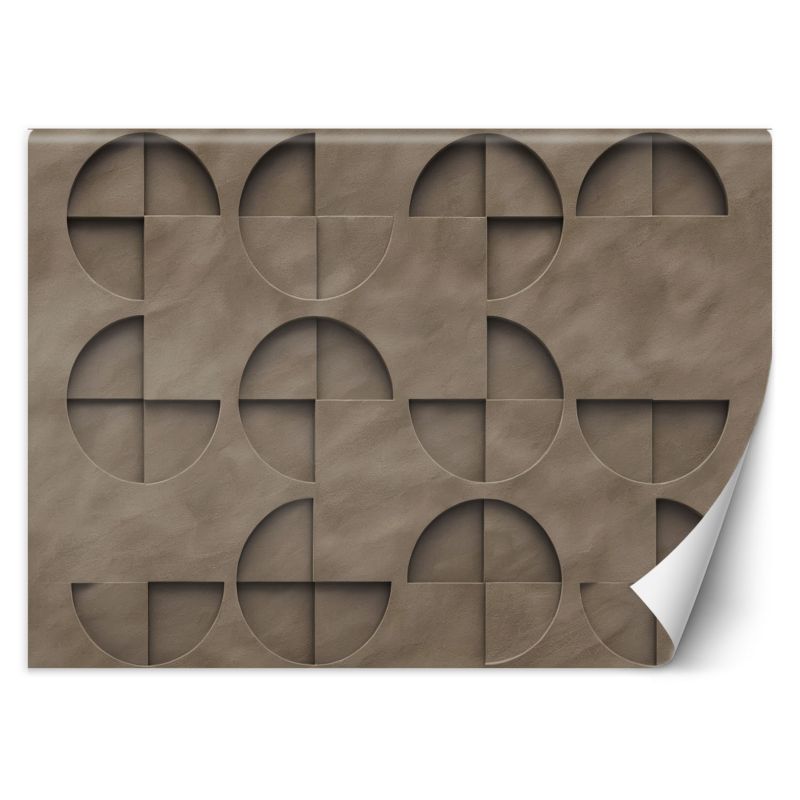 Fototapeta Feeby Koła Abstrakcja 3D  450x315 1 szt