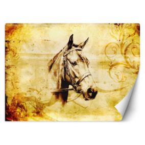 Fototapeta Feeby Koń vintage  250x175 1 szt