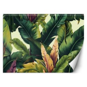 Fototapeta Feeby Kolorowe liście tropikalne  350x245 1 szt