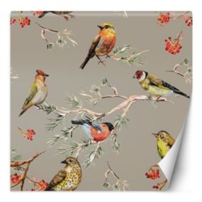 Fototapeta Feeby Kolorowe ptaki  150x150 1 szt