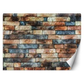 Fototapeta Feeby Kolorowy mur z piaskowca  200x140 1 szt