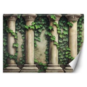 Fototapeta Feeby Kolumny i zielone liście  350x245 1 szt