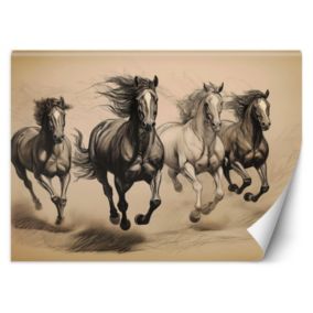 Fototapeta Feeby Konie Zwierzęta Vintage  150x105 1 szt