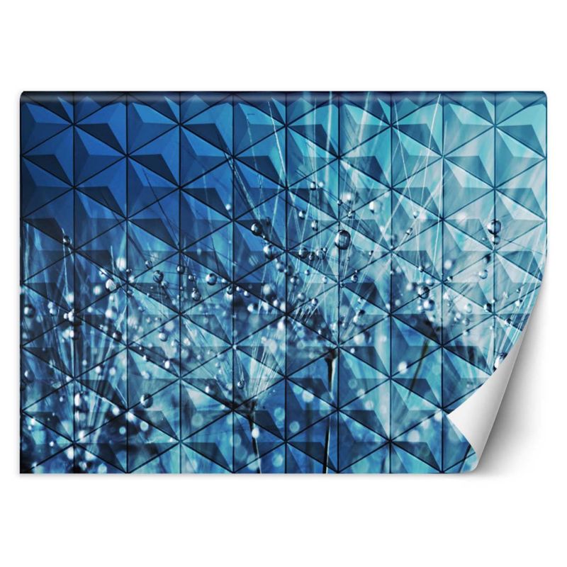 Fototapeta Feeby Krople rosy na dmuchawcu  100x70 1 szt