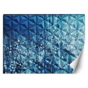 Fototapeta Feeby Krople rosy na dmuchawcu  450x315 1 szt