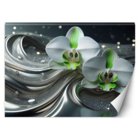 Fototapeta Feeby Kwiat abstrakcji orchidei  100x70 1 szt