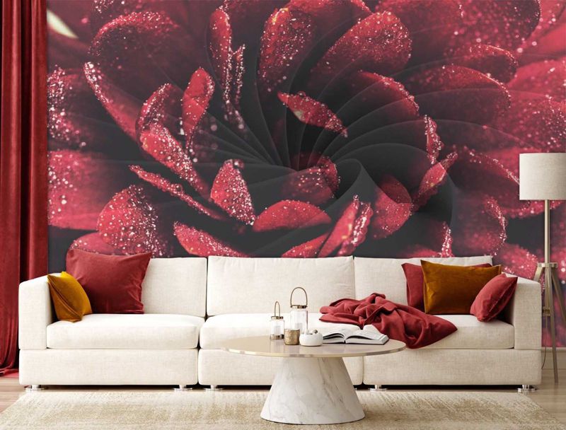 Fototapeta Feeby Kwiat makro  100x70 1 szt