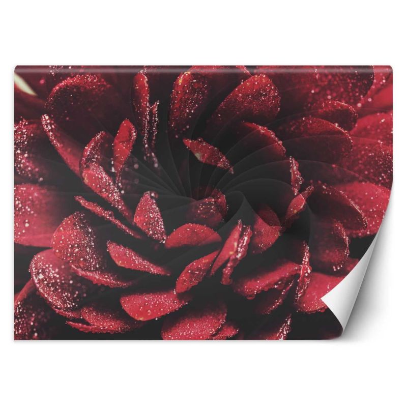 Fototapeta Feeby Kwiat makro  200x140 1 szt