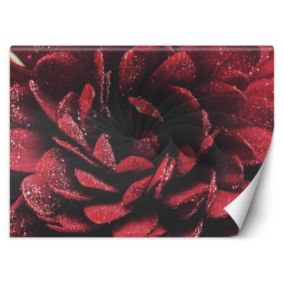 Fototapeta Feeby Kwiat makro  200x140 1 szt