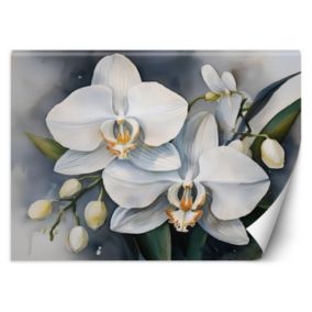 Fototapeta Feeby Kwiat orchidei Abstrakcja  450x315 1 szt