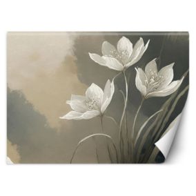 Fototapeta Feeby Kwiaty Abstrakcja Beż  150x105 1 szt