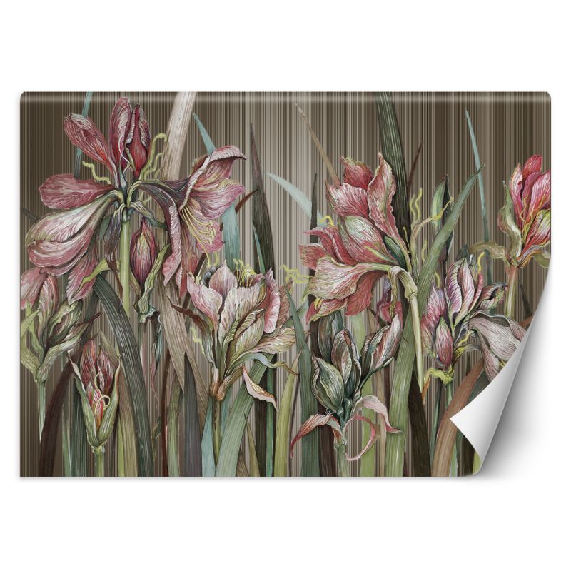 Fototapeta Feeby Kwiaty amarylisa  150x105 1 szt