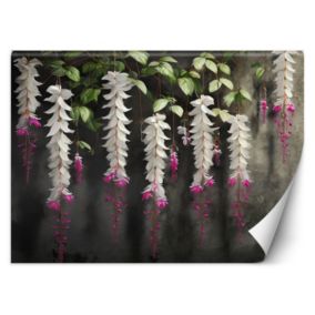 Fototapeta Feeby Kwiaty Beton Botanika  150x105 1 szt