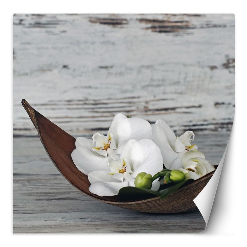 Fototapeta Feeby Kwiaty białej orchidei na tle starej deski  250x250 1 szt