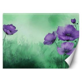 Fototapeta Feeby Kwiaty i rośliny na łące  350x245 1 szt