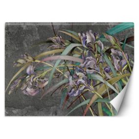 Fototapeta Feeby Kwiaty Irysy na wietrze  350x245 1 szt