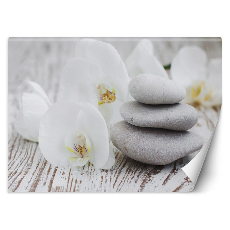 Fototapeta Feeby Kwiaty kamienie zen  300x210 1 szt