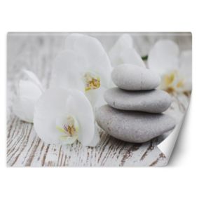 Fototapeta Feeby Kwiaty kamienie zen  300x210 1 szt