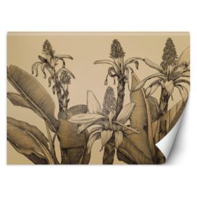 Fototapeta Feeby Kwiaty rośliny vintage  400x280 1 szt