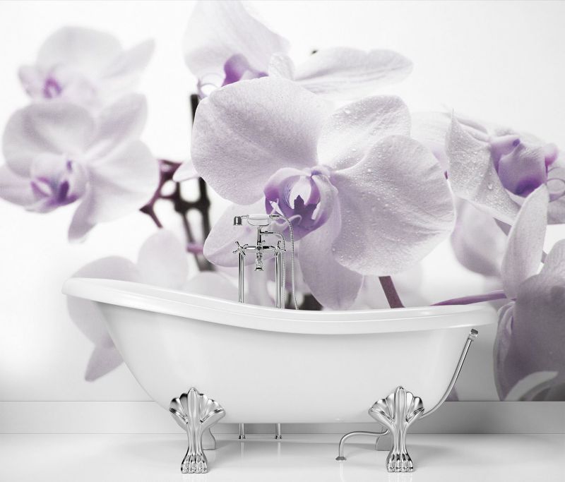 Fototapeta Feeby Kwitnąca orchidea  350x245 1 szt