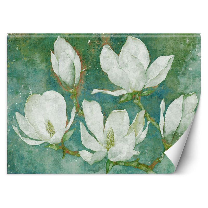 Fototapeta Feeby Kwitnące magnolie abstrakcja  350x245 1 szt