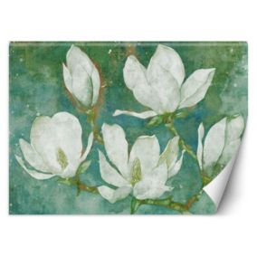 Fototapeta Feeby Kwitnące magnolie abstrakcja  350x245 1 szt